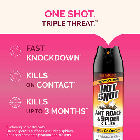 Hot Shot spray action on baseboard targeting hidden insects.
