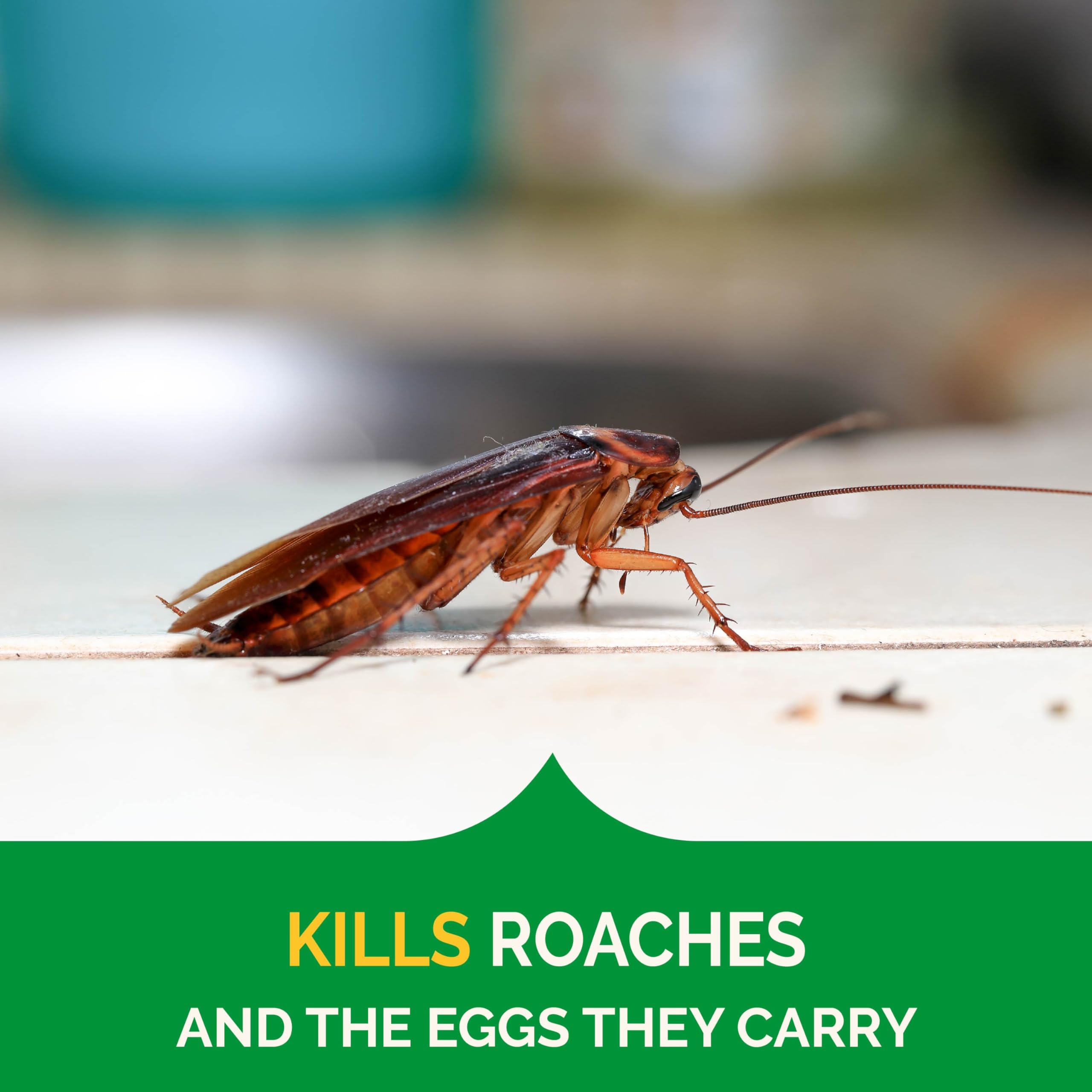 Indoor-use gel bait placed in cracks and crevices where pests have been seen.