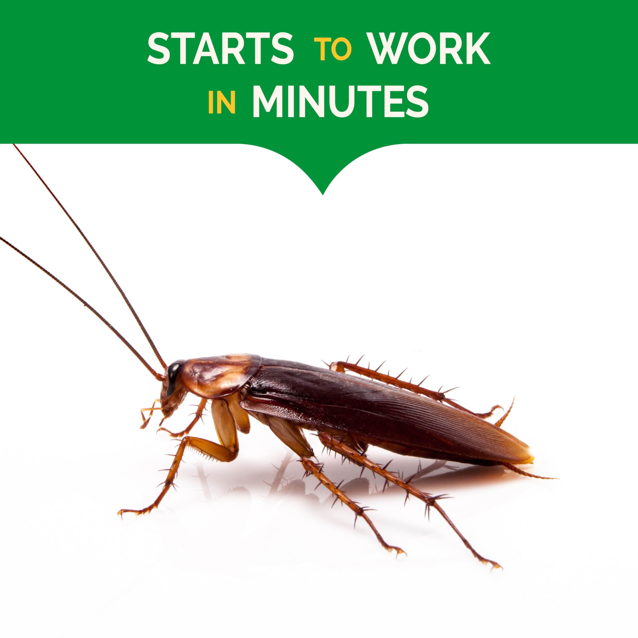 Residual bait remains attractive for up to three months indoors.