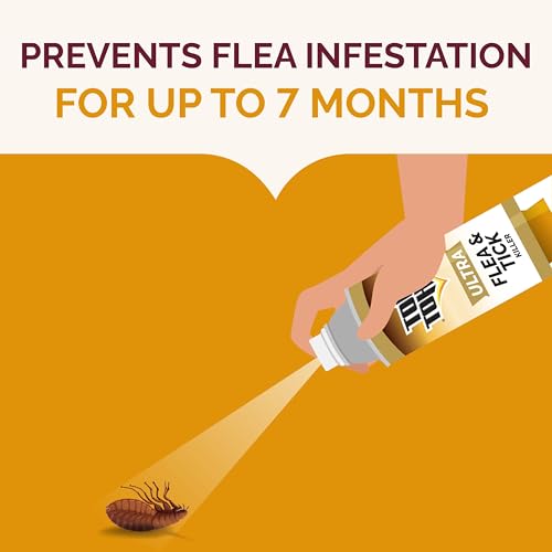 Hot Shot Ultra Flea & Tick Killer application on upholstery neutralizes pests without mess