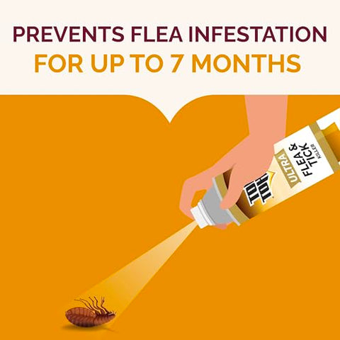 Hot Shot Ultra Flea & Tick Killer application on upholstery neutralizes pests without mess