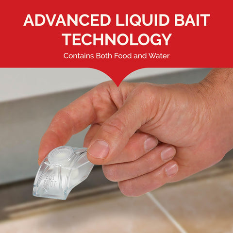 Bait station located under sink for ant control