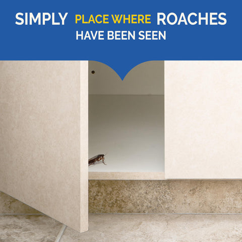 Under-sink placement of Hot Shot bait shows hidden deployment