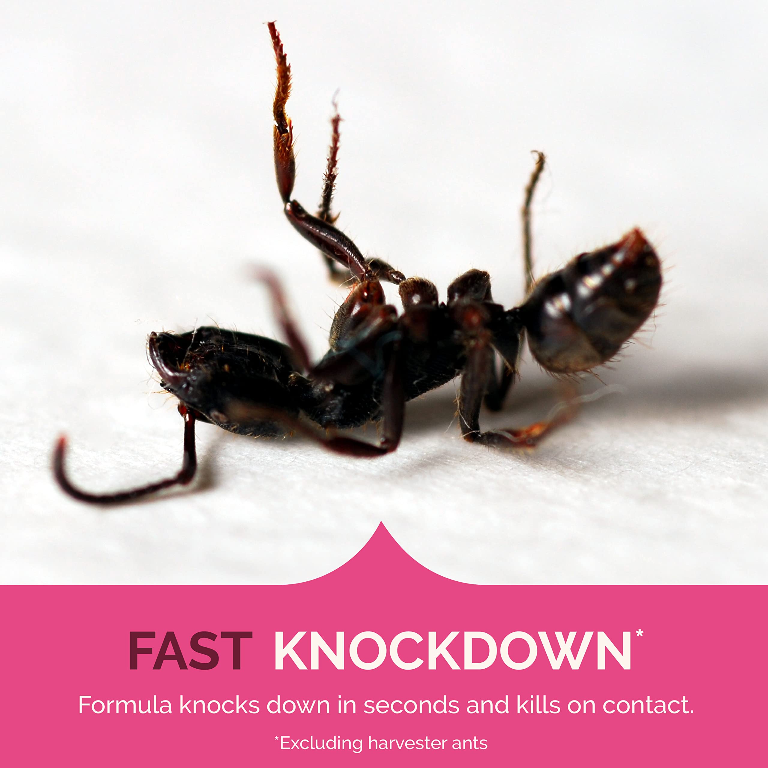 Hot Shot under sink spot treatment for discreet pest control.