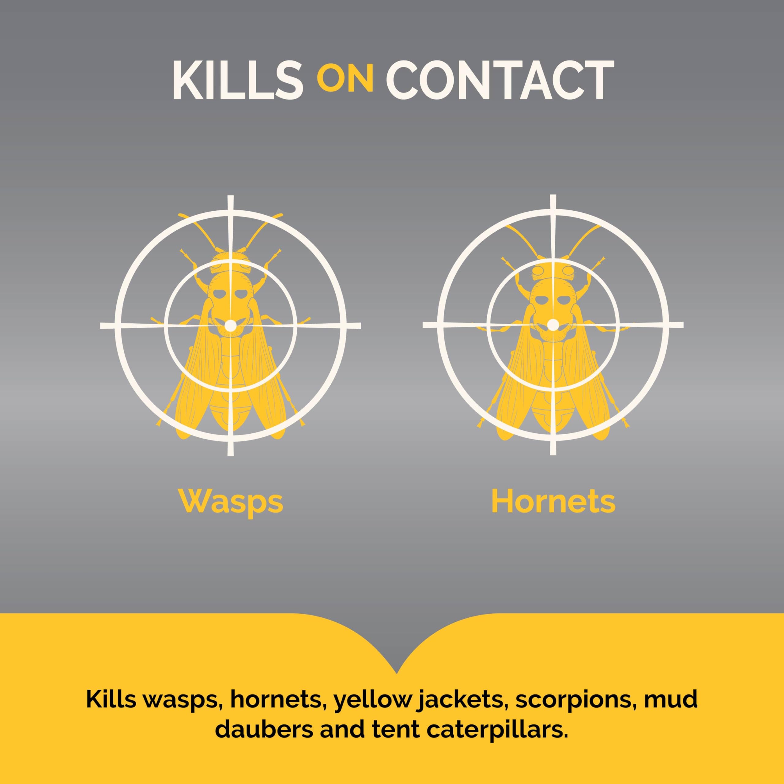 Hot Shot aerosol can for quick contact kill and nest elimination outdoors.