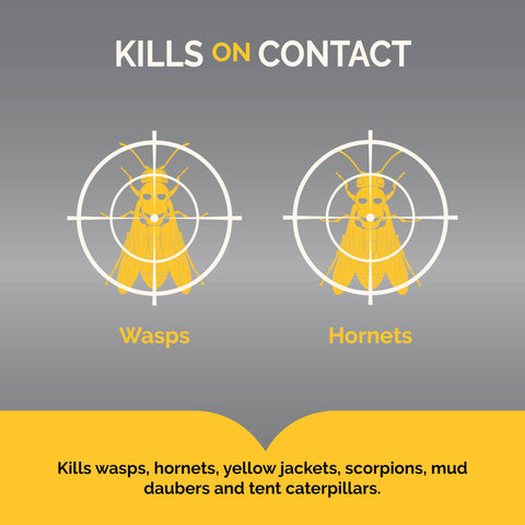 Hot Shot aerosol can for quick contact kill and nest elimination outdoors.