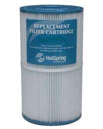 Hot Spring Watkins 71825 filter cartridge close-up for compatible spa maintenance and clean water