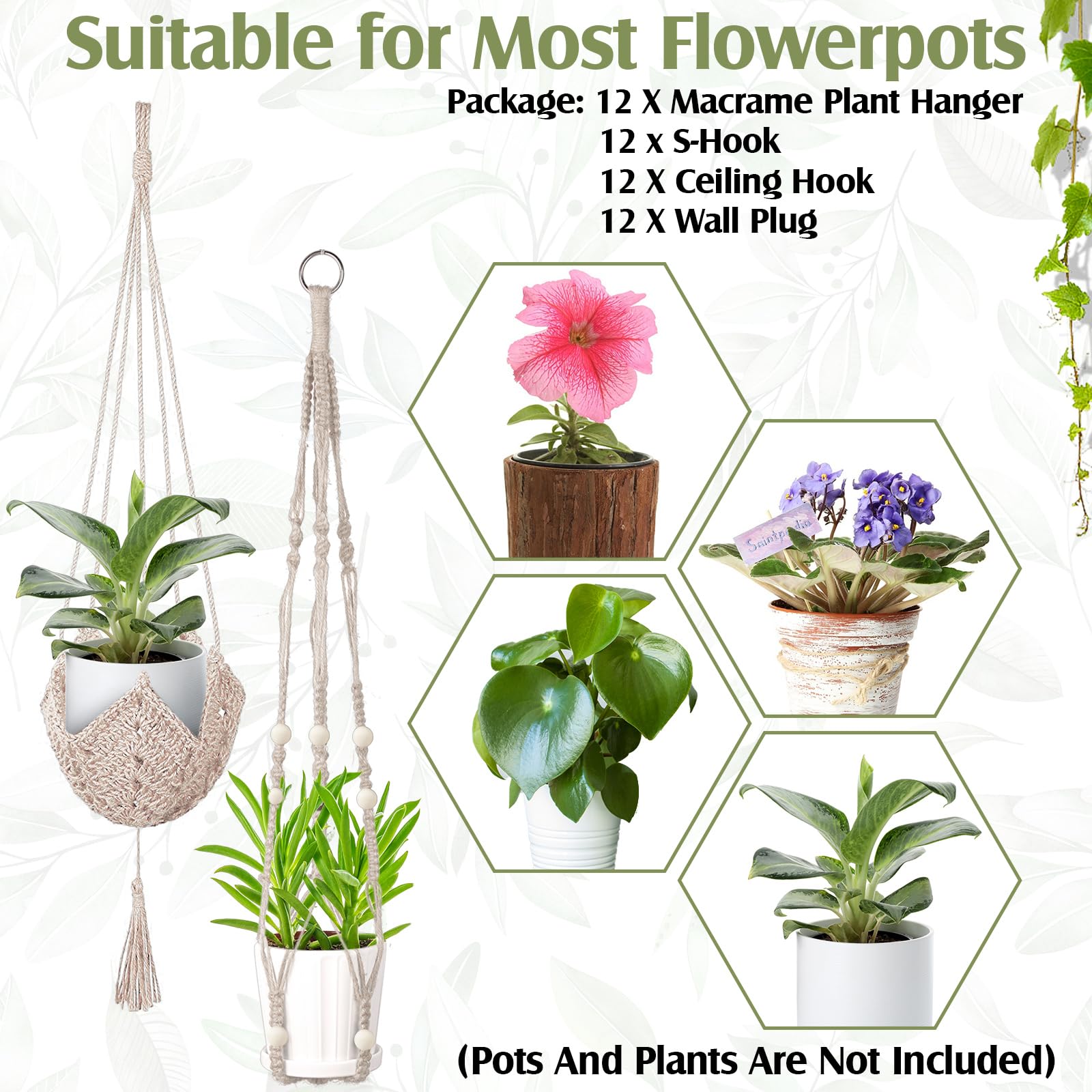 Hoteam fits 10-25 cm pots, offering flexible display.