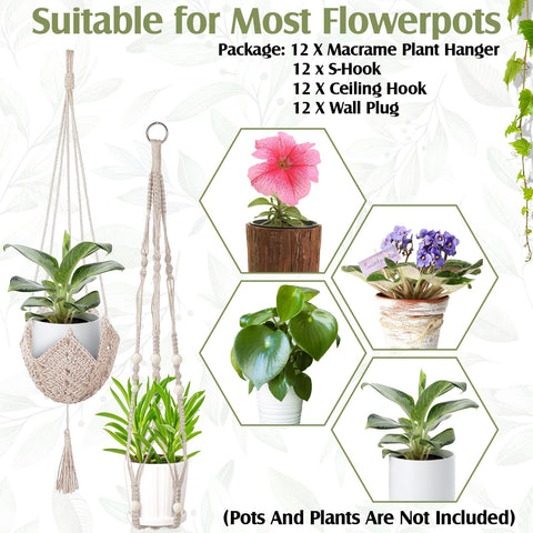 Hoteam fits 10-25 cm pots, offering flexible display.