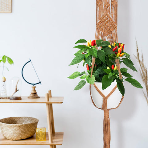 Hoteam macrame hangers mounted on ceiling or wall for versatile decor