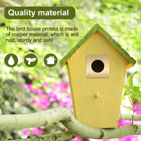 Hotop anti-rust copper guard maintains long-lasting protection for eastern bluebird houses.