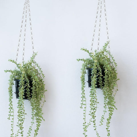 Hotop billboard charm hanger for lightweight decorative mounting.