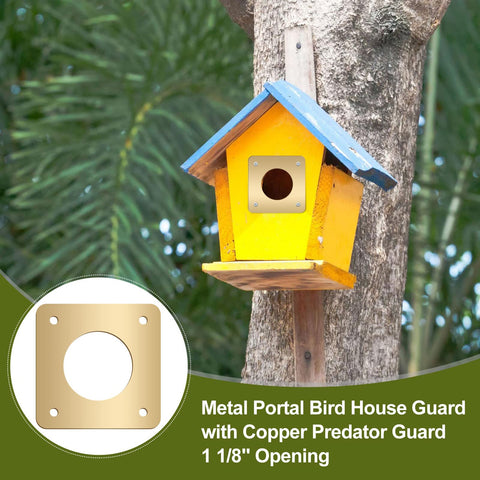 Hotop eastern bluebird house protector helps create a safe nesting entrance.
