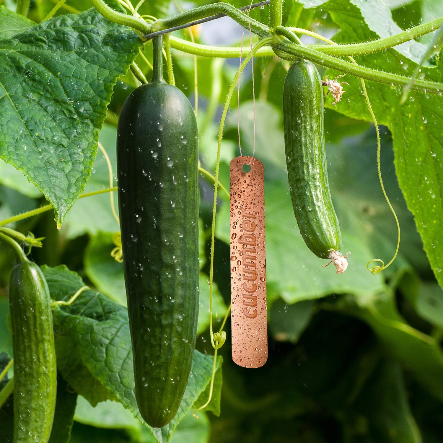 Hotop garden label set makes a thoughtful gift for gardeners.