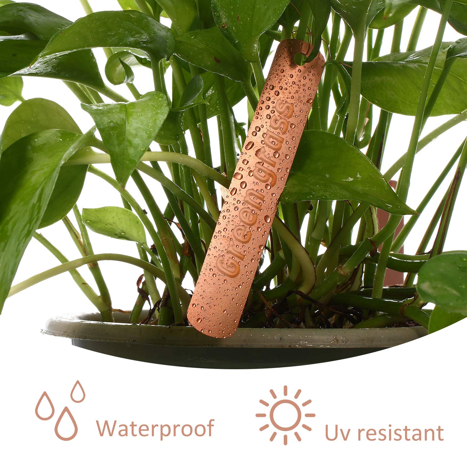 Labels on trees and shrubs help organize garden varieties.
