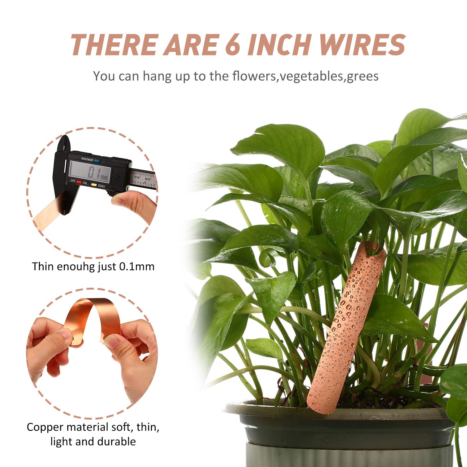 Waterproof and sun resistant garden labels stay legible in all weather.