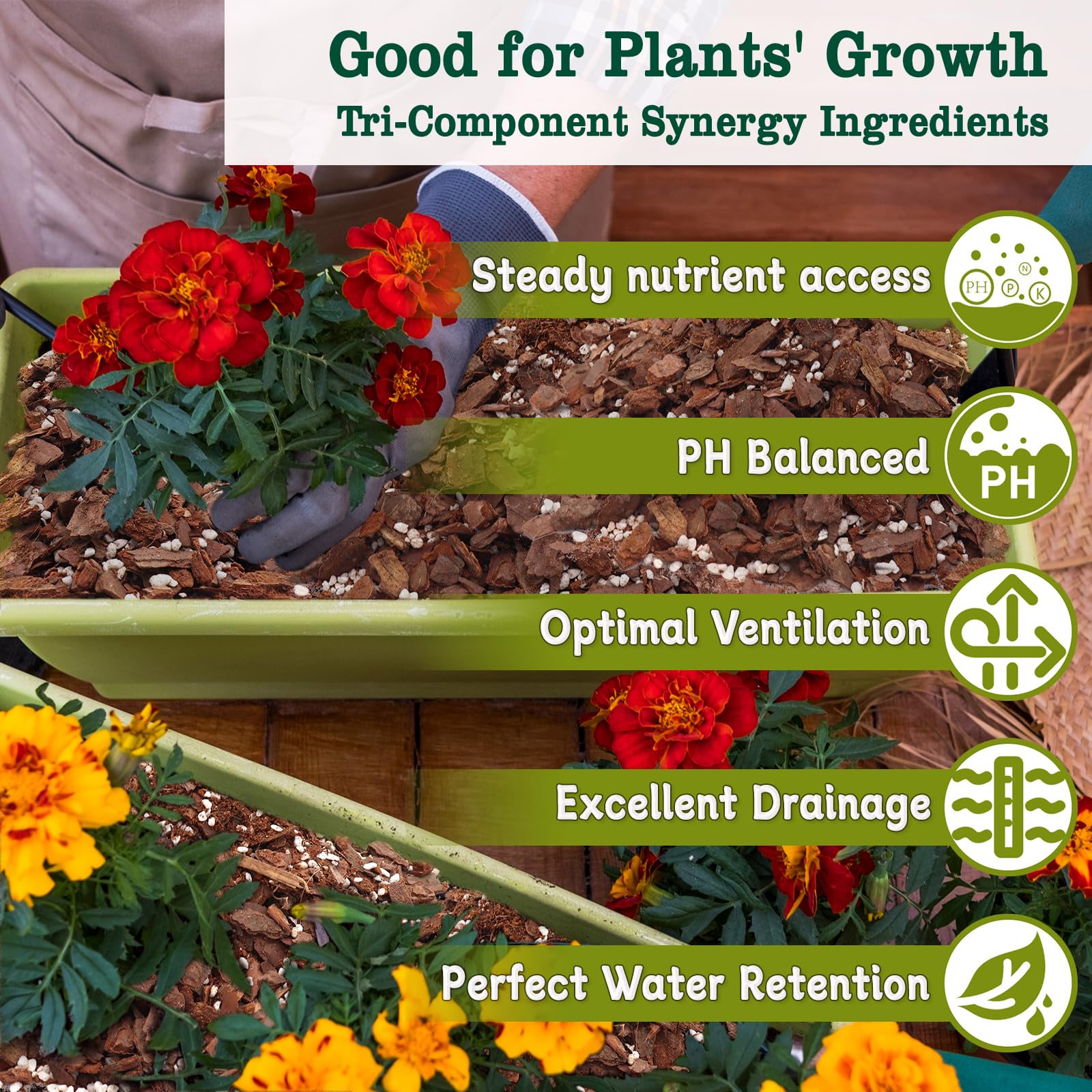 HOUNANG orchid mix coco peat balances moisture for healthy roots