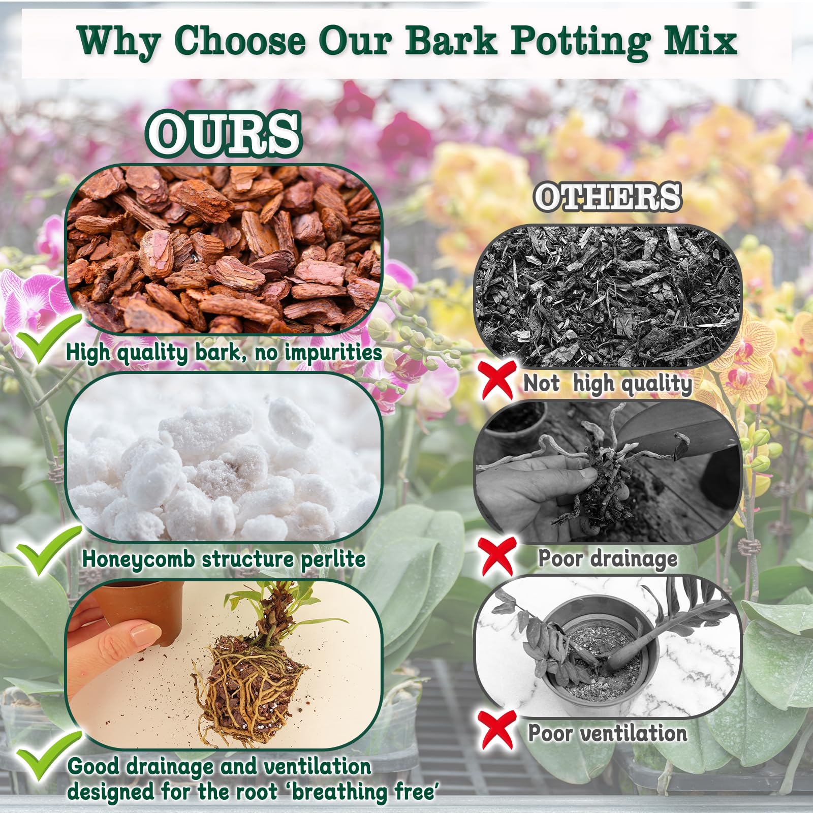 HOUNANG mix supports healthy roots and stable moisture during care