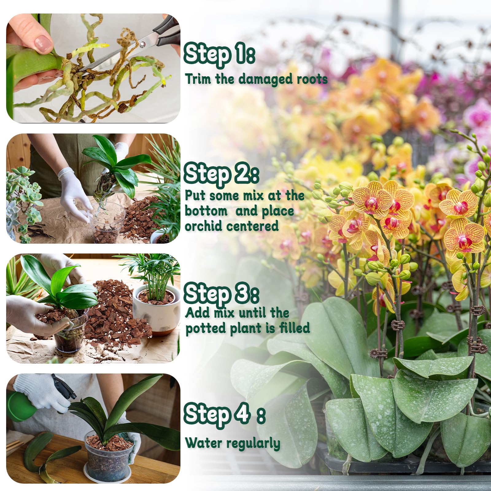 HOUNANG orchid mix perlite pockets boost root ventilation