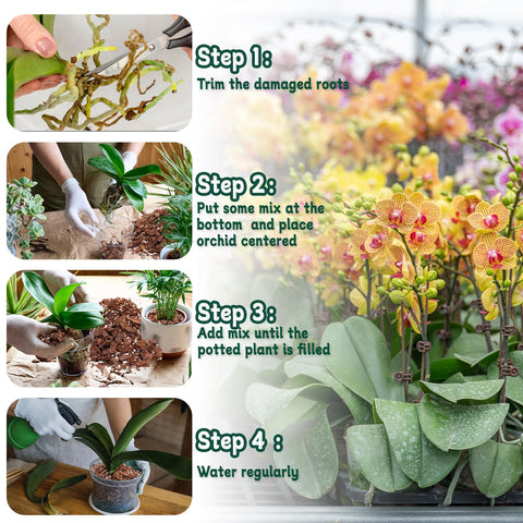 HOUNANG orchid mix perlite pockets boost root ventilation