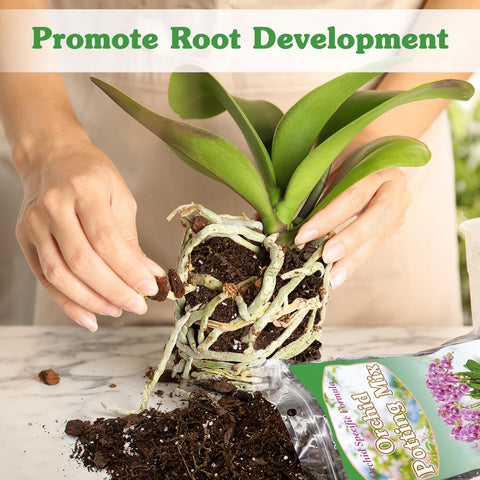 HOUNANG orchid potting mix contains perlite for aeration and drainage.