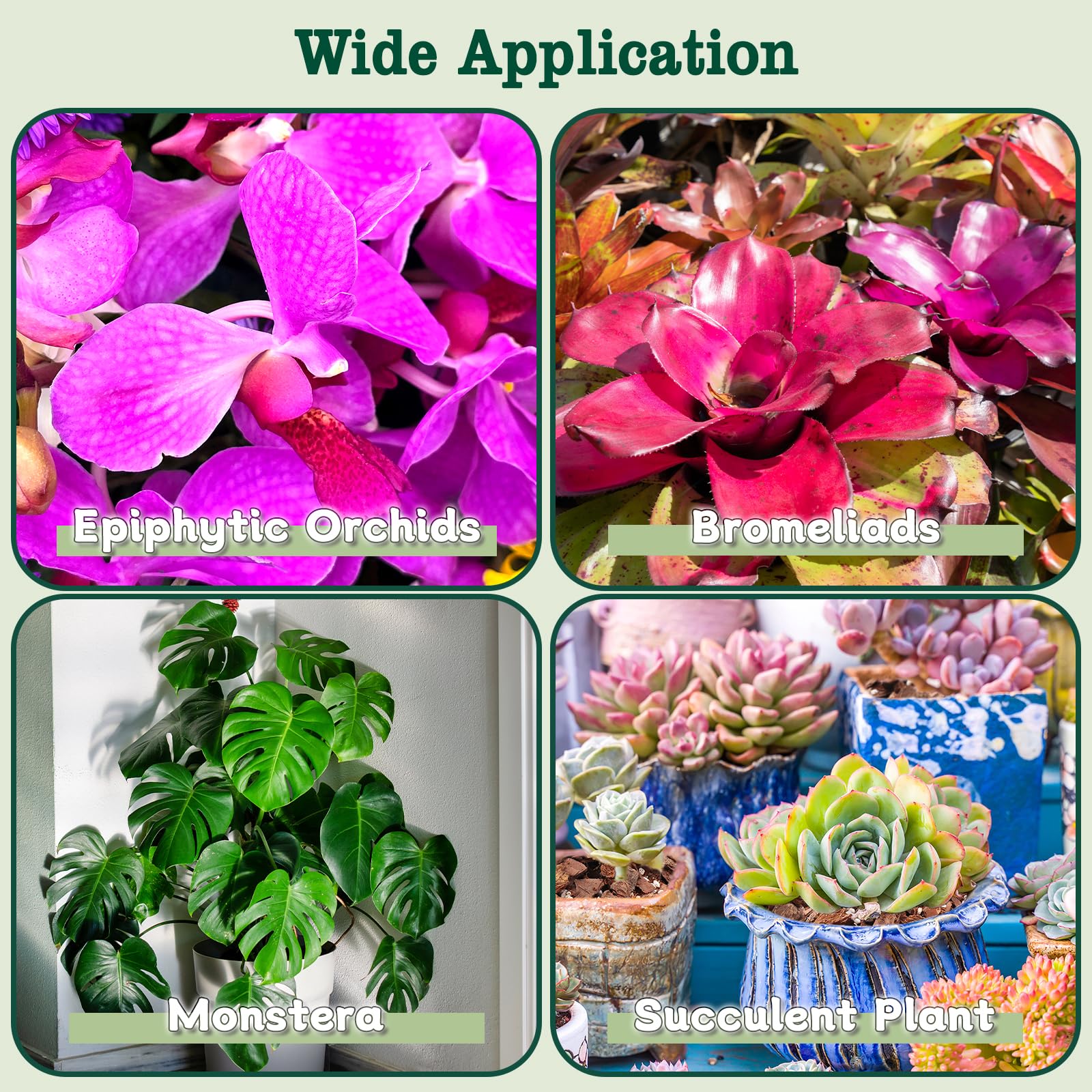 HOUNANG orchid potting mix used during repotting for easy setup
