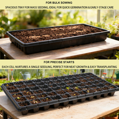 Hourleey 72-cell plug tray ideal for easy transplanting and uniform seedling growth.