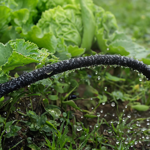 Hourleey flat soaker hose buried under mulch for root-focused watering