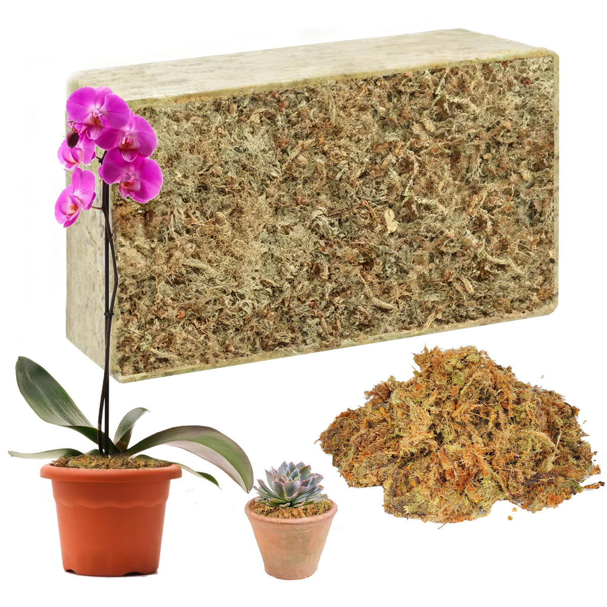 Hourleey sphagnum moss brick expansion showcases ready plant medium for moisture-loving roots.