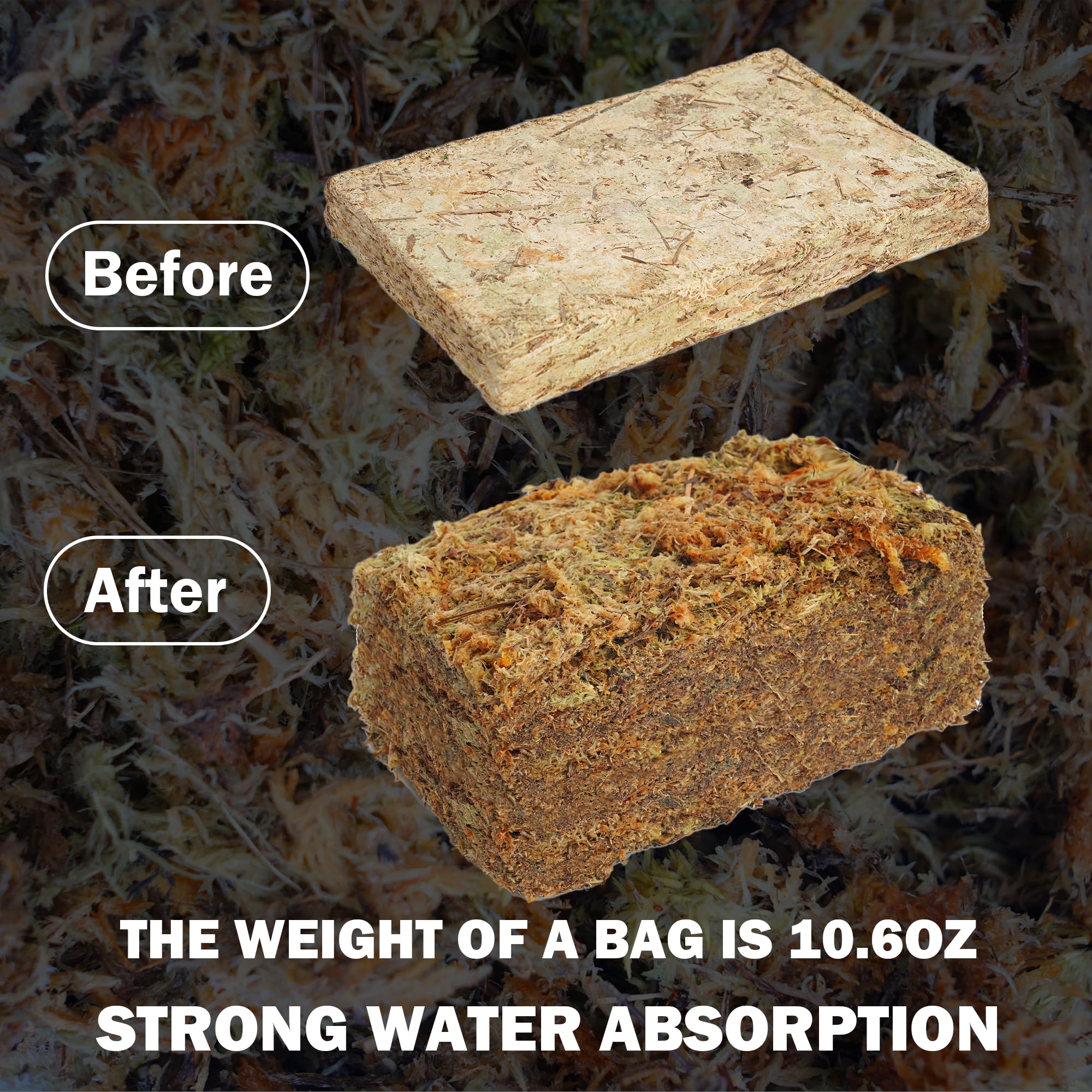 Hourleey sphagnum moss excels at moisture retention for soil and roots.