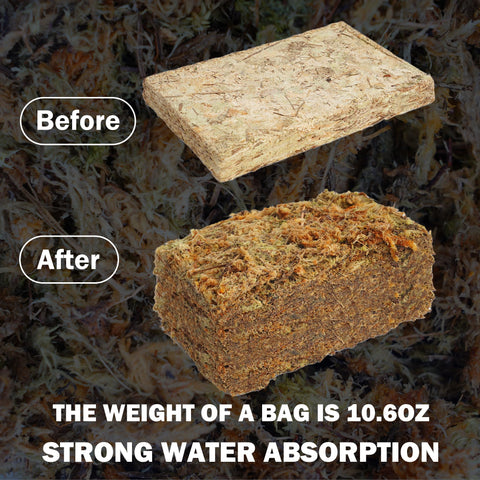 Hourleey sphagnum moss excels at moisture retention for soil and roots.
