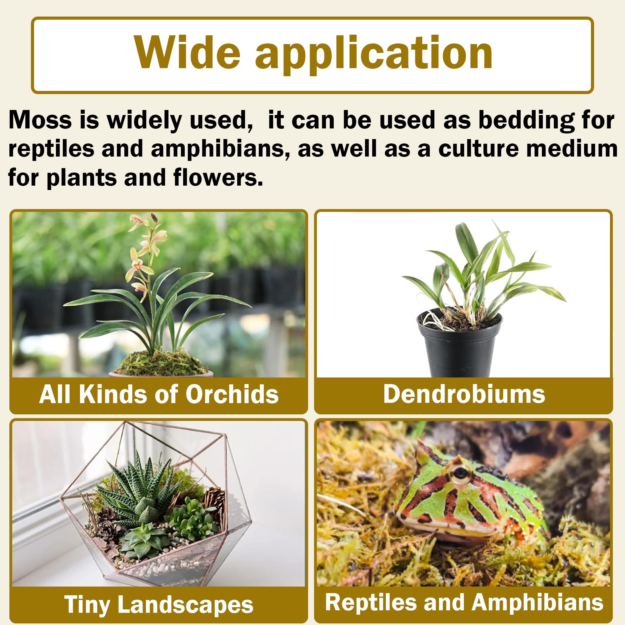 Hourleey moss as humidity substrate for reptiles and amphibians.