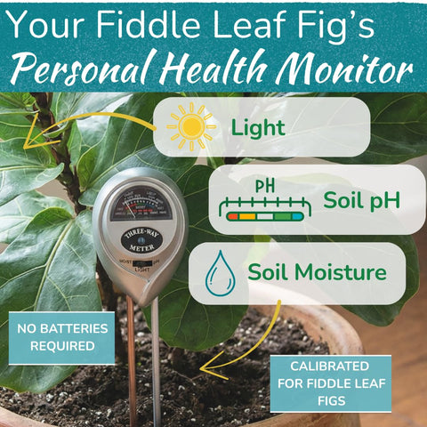 Houseplant Resource Center 3in1 soil meter probe shows moisture, pH, and light readings.