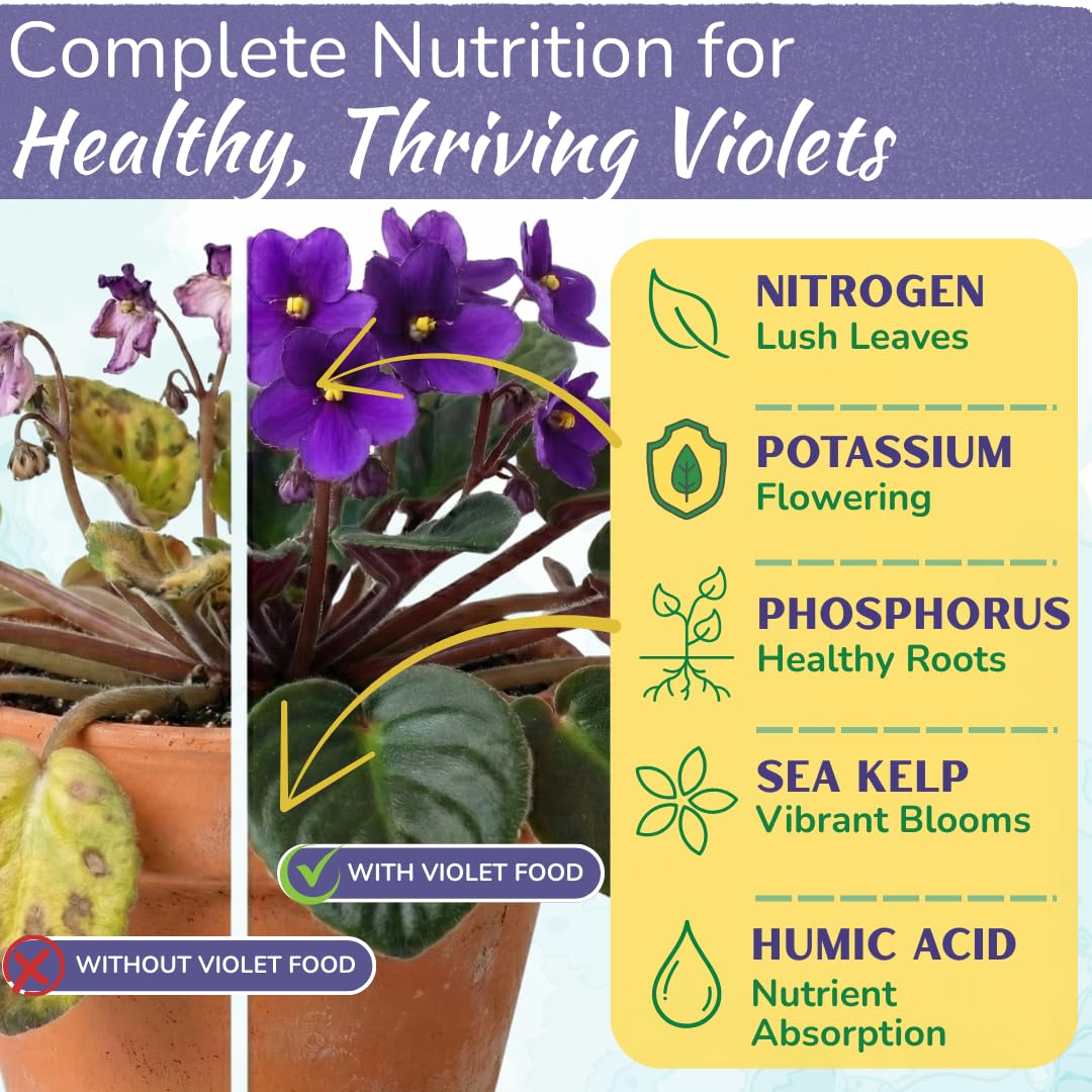 HOUSEPLANT RESOURCE CENTER African Violet Fertilizer label shows 3-3-3 balanced formula.