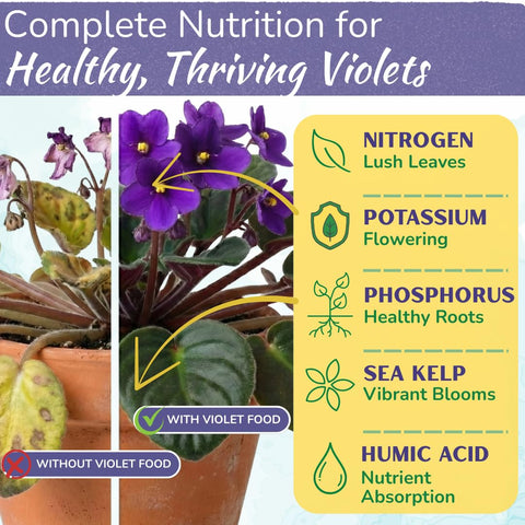 HOUSEPLANT RESOURCE CENTER African Violet Fertilizer label shows 3-3-3 balanced formula.