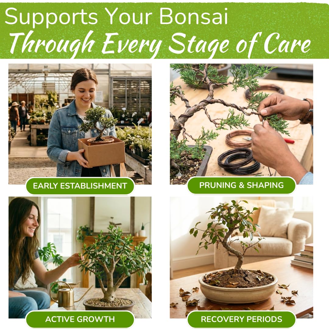 HOUSEPLANT RESOURCE CENTER Bonsai Food diluting in cup demonstrates effortless nourishment