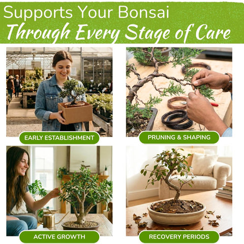 HOUSEPLANT RESOURCE CENTER Bonsai Food diluting in cup demonstrates effortless nourishment