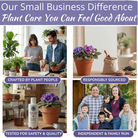 HOUSEPLANT RESOURCE CENTER Pouring the solution for even soil coverage.