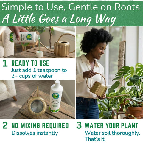 Houseplant Resource Center Easy Feed process shows quick, watered-in nutrients for steady growth.