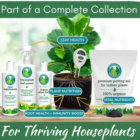 Houseplant Resource Center Health Meter aids fiddle leaf fig care with root insight
