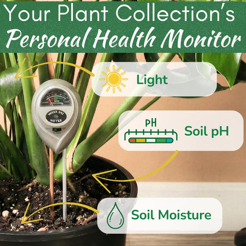 Houseplant Resource Center Health Meter reads sunlight exposure for optimal placement
