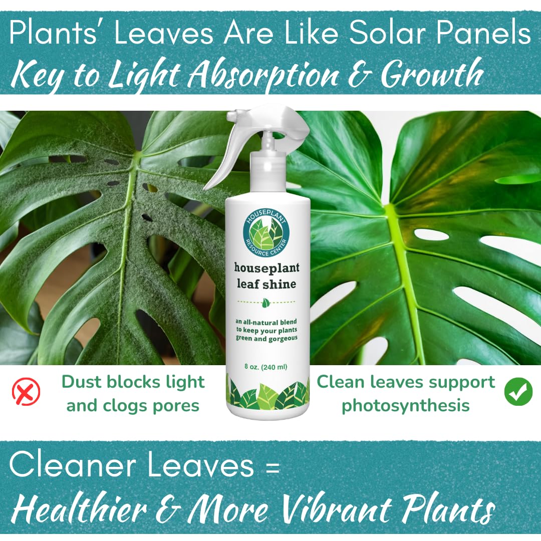 Houseplant Resource Center Leaf Shine Spray on glossy leaves ready for photos.
