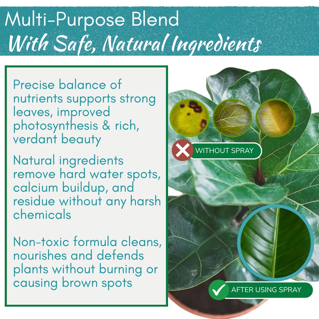 Houseplant Resource Center Leaf Shine Spray misting leaves for dust-free shine.