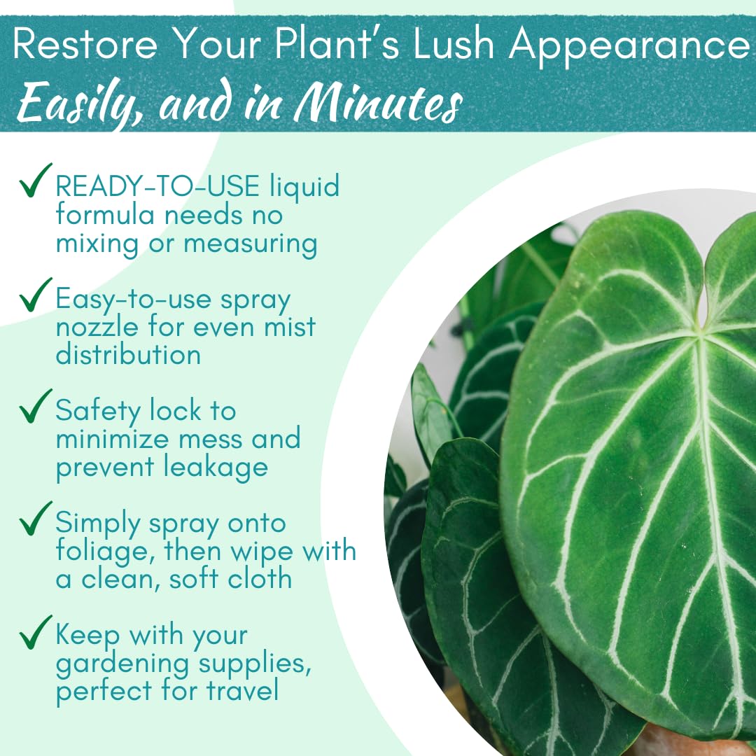 Houseplant Resource Center Leaf Shine Spray applied to monstera leaves.