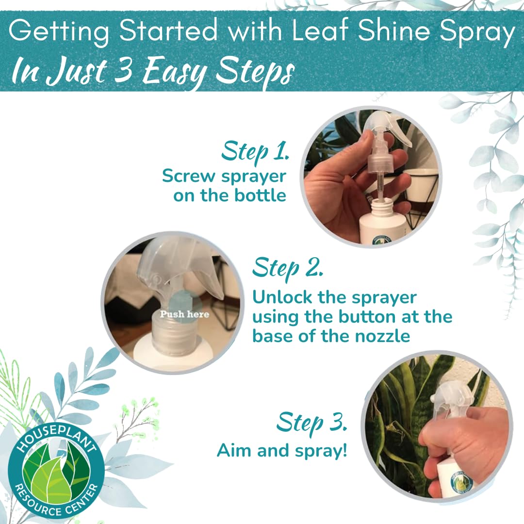 Houseplant Resource Center Leaf Shine Spray gives pothos a healthy glow.