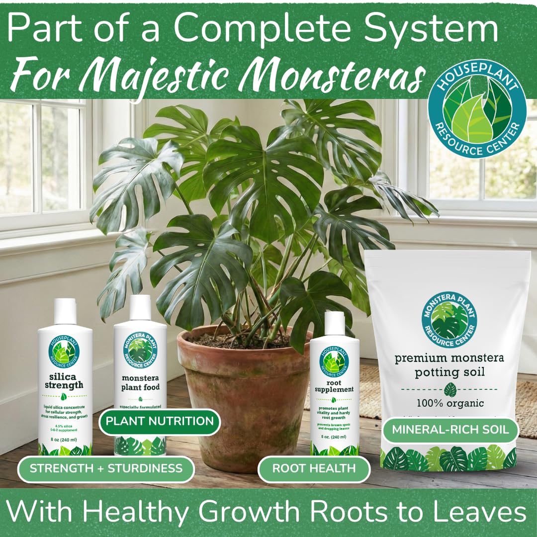 HOUSEPLANT RESOURCE CENTER Monstera-dilution-in-water demonstrates simple, even nutrient distribution