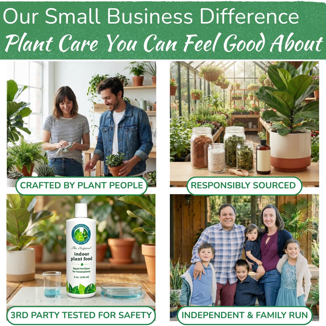 Houseplant Resource Center Monstera foliage lush from regular feedings.