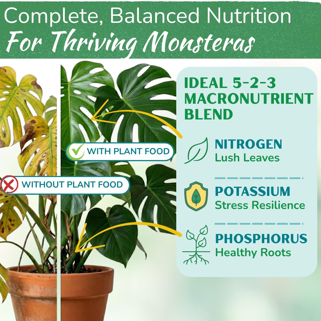 HOUSEPLANT RESOURCE CENTER Monstera plant-boost highlights strong roots and lush foliage