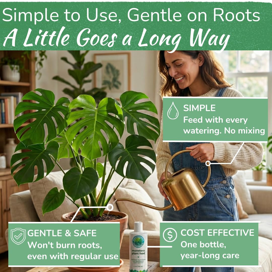 HOUSEPLANT RESOURCE CENTER Monstera-roots-boost emphasizes robust root systems