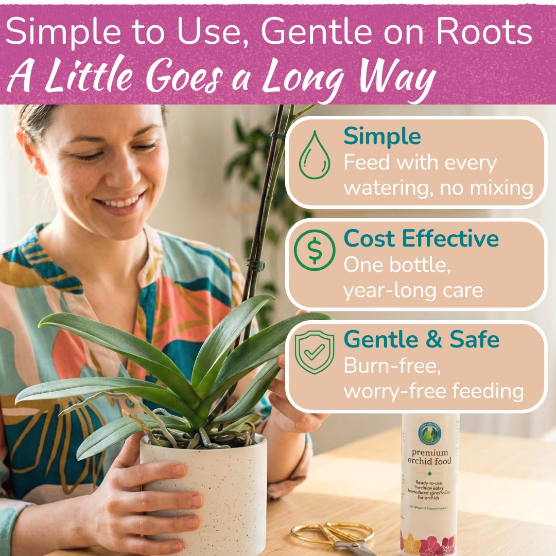 Houseplant Resource Center orchid blooms enhanced by nourishing spray.